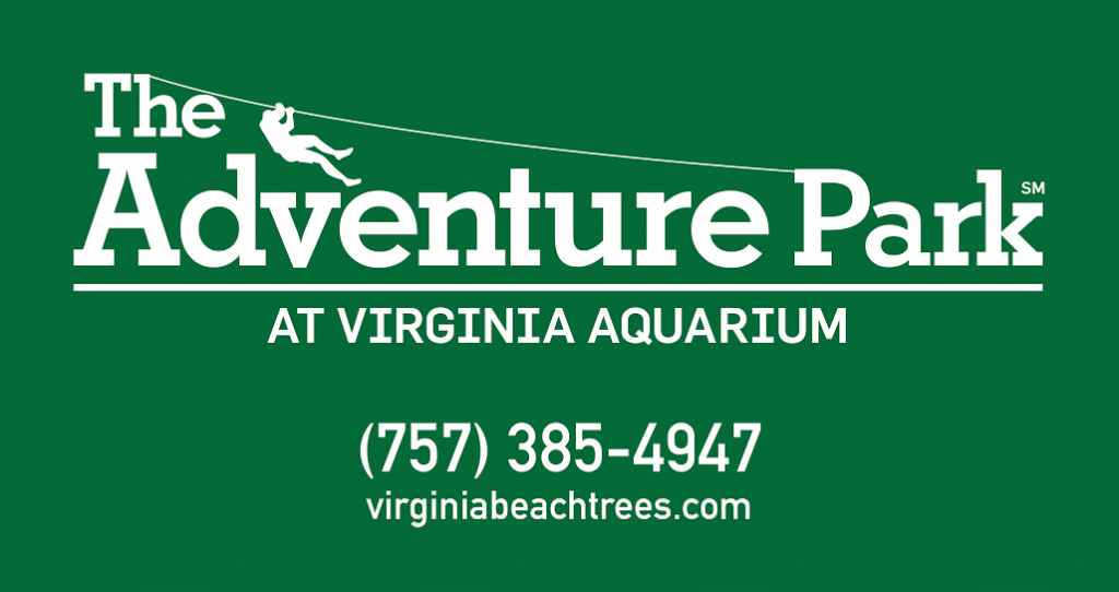 Fun things Endless Summer High School Volleyball